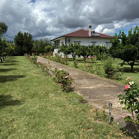 Rrozhani House * Lezhë