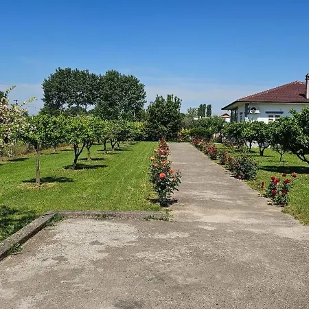 Rrozhani House Σπίτι διακοπών