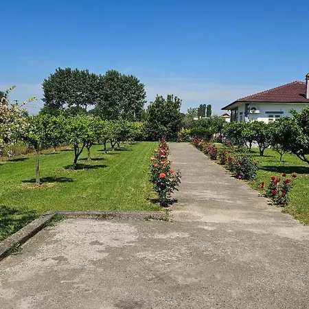 Rrozhani House Σπίτι διακοπών *